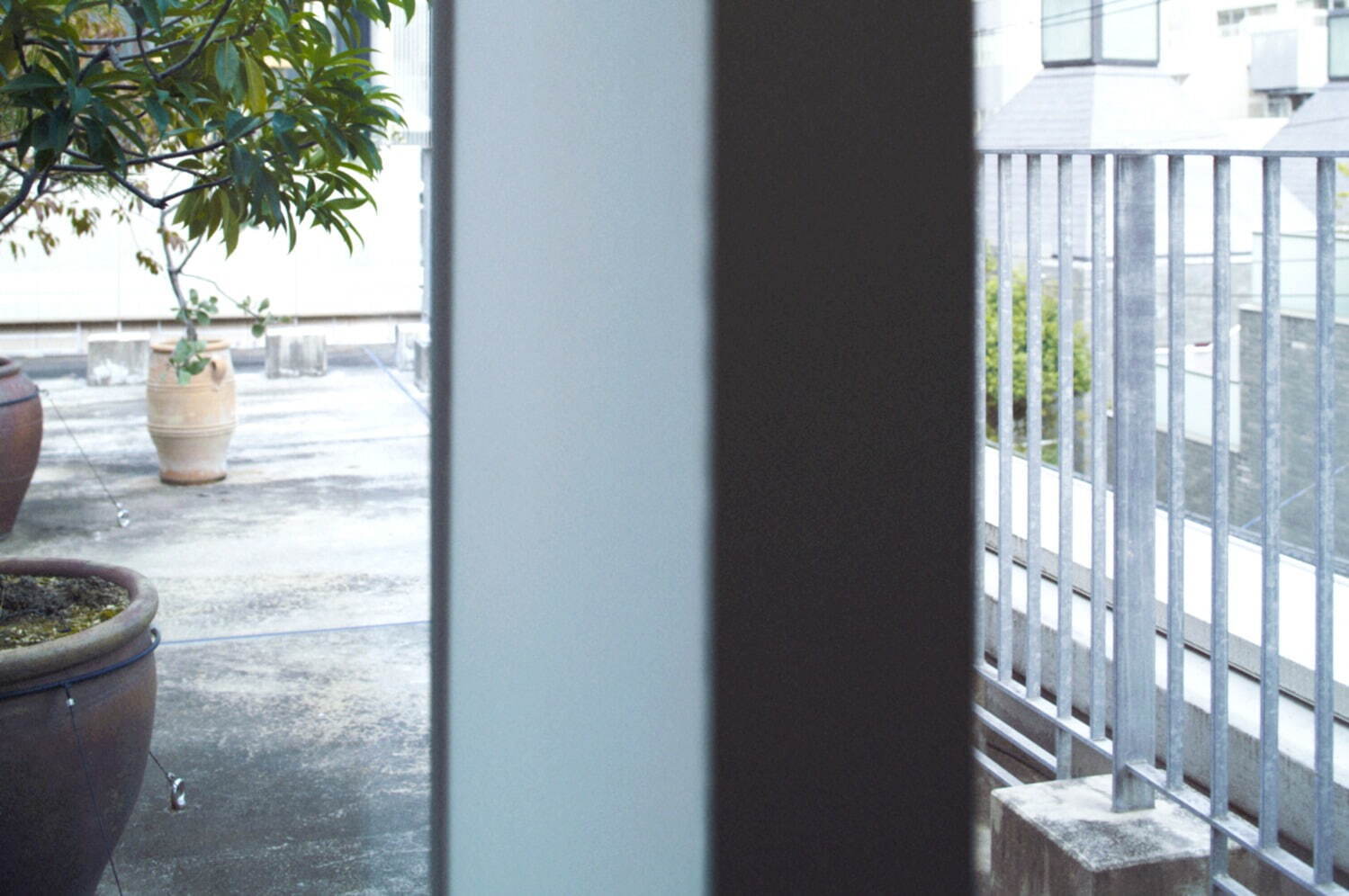 COMOLI 25SS 3/15(SAT) RELEASE – LOCALERS