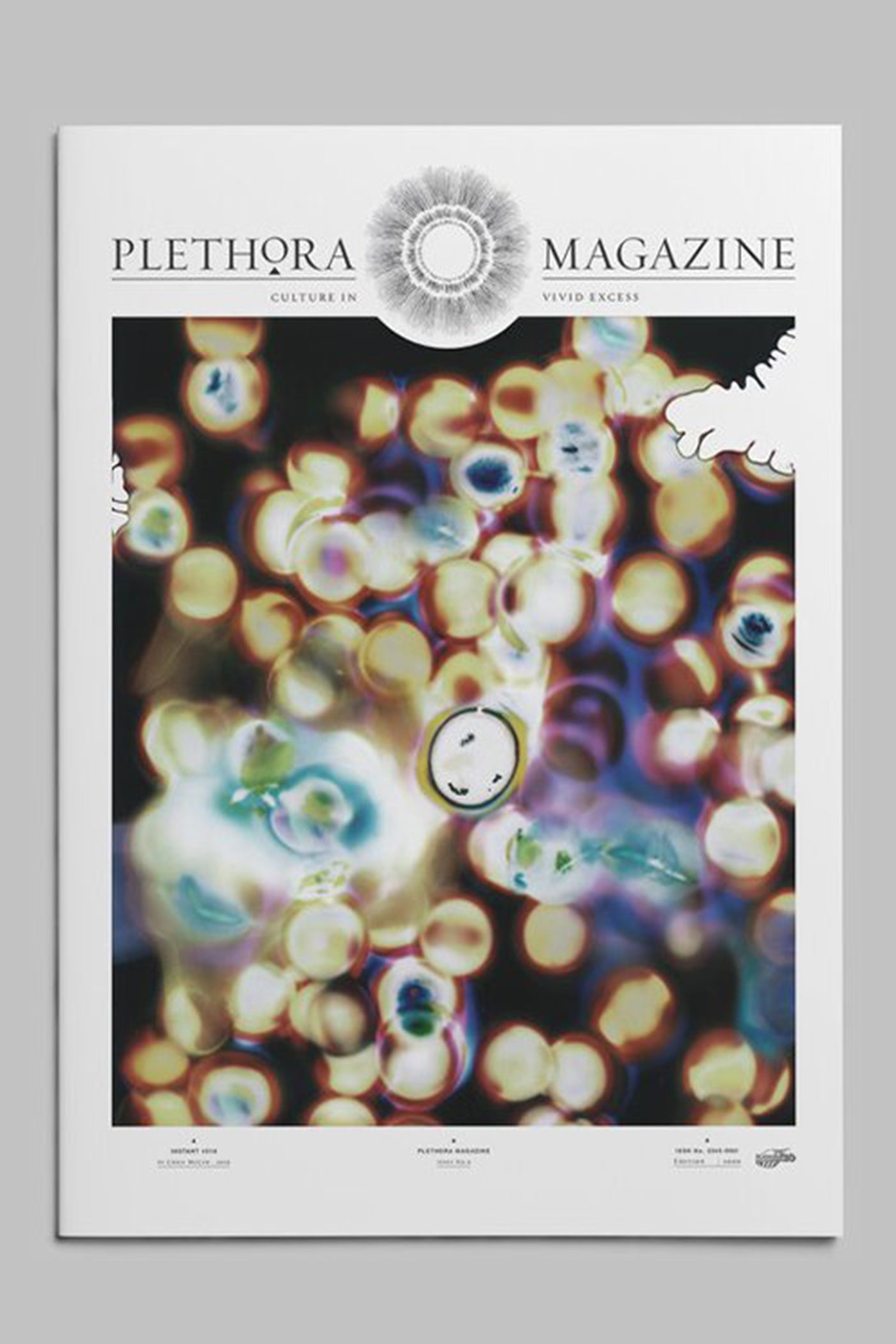 PLETHORA MAGAZINE No.9 プレソラマガジン　アート PLETHORA MAGAZINE 