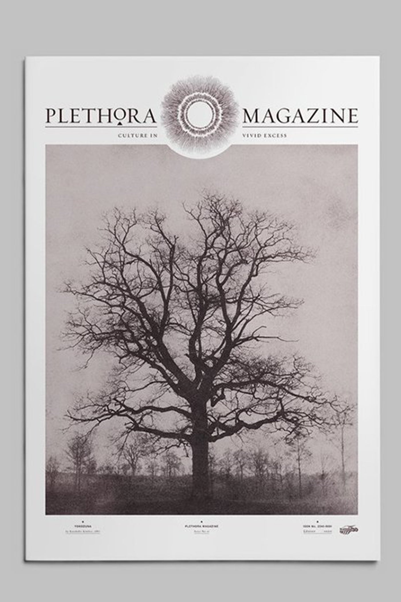 プレソラマガジンPLETHORA MAGAZINE 寝かさ No.6