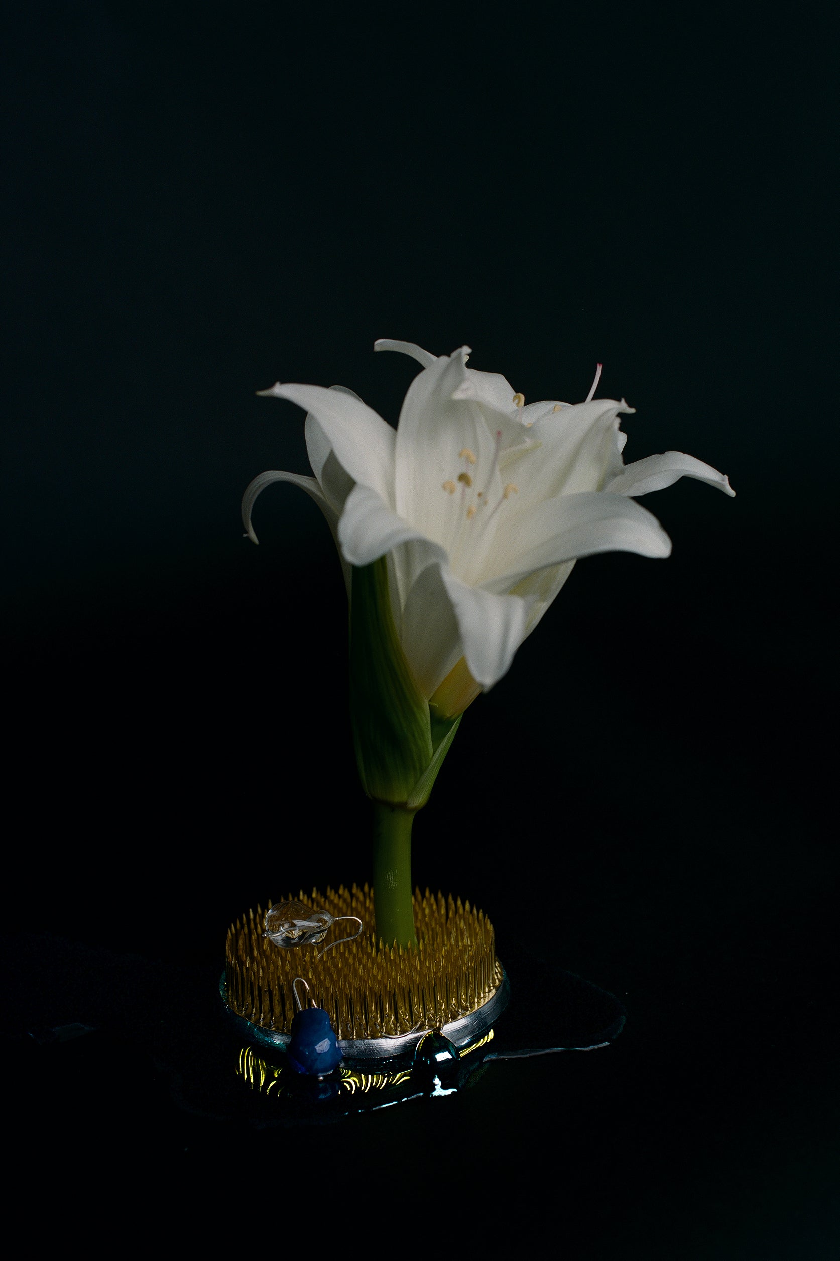 R.ALAGAN 