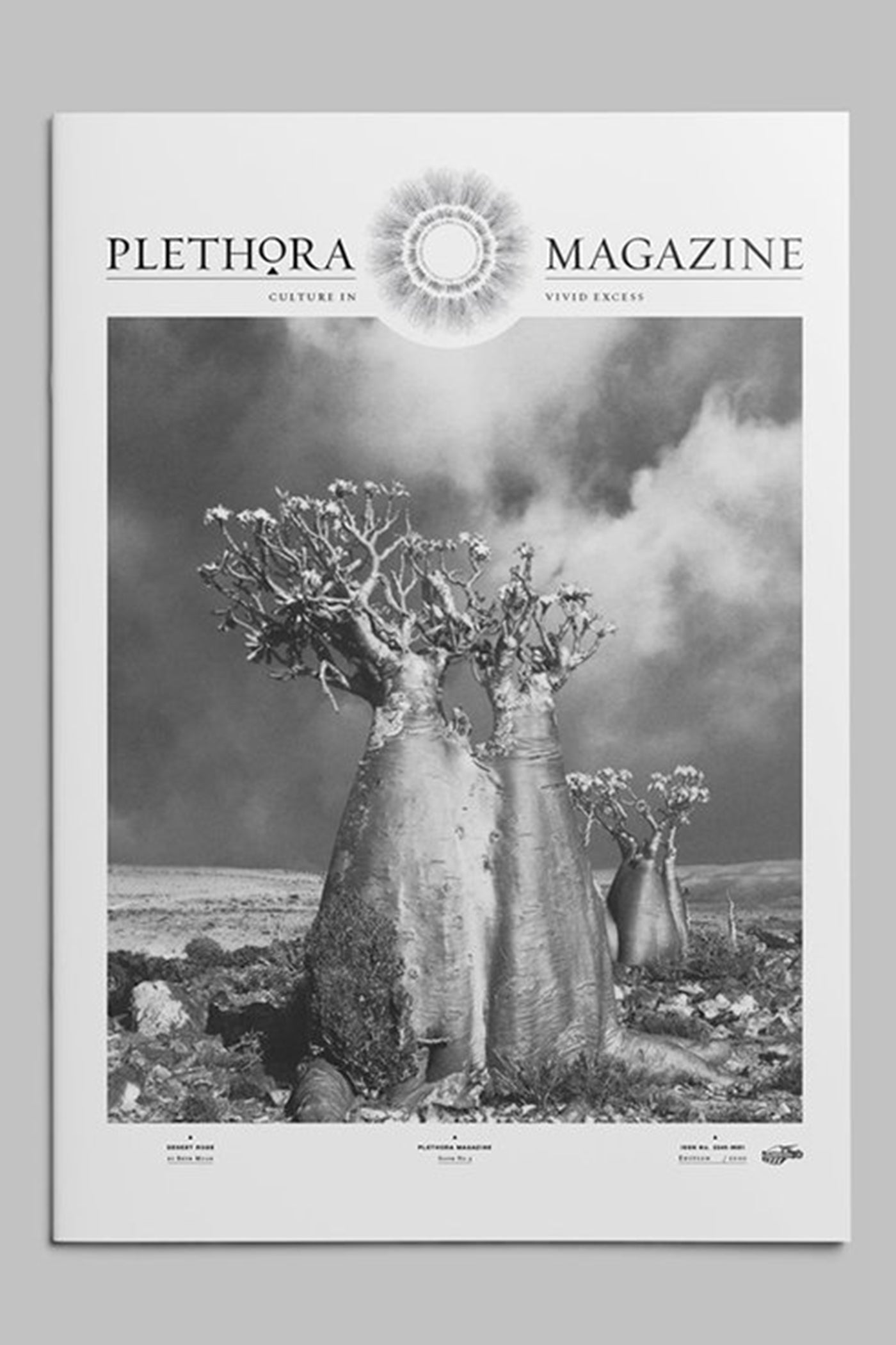 PLETHORA MAGAZINE – LOCALERS