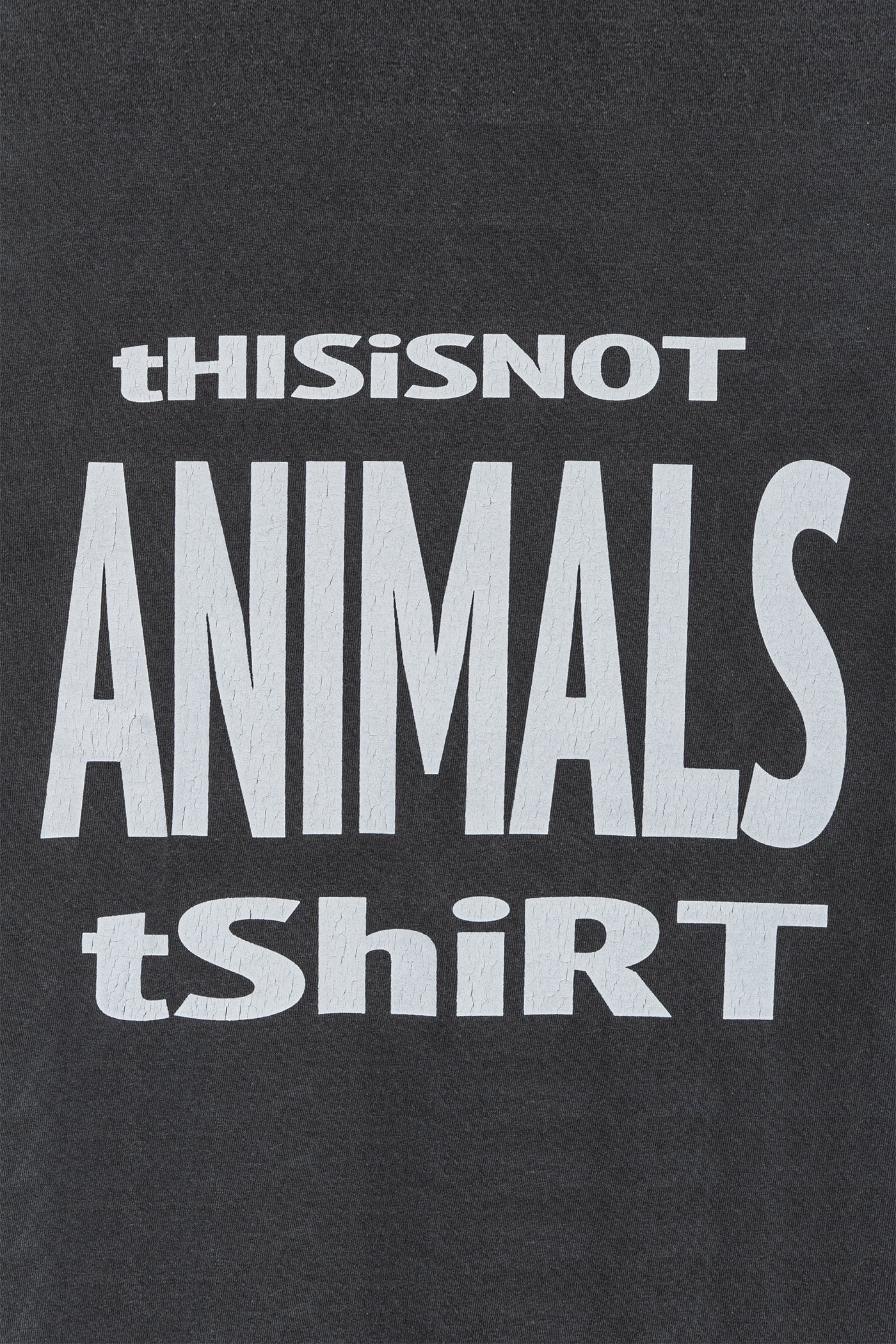 STUDIO WEAREALLANIMALS 