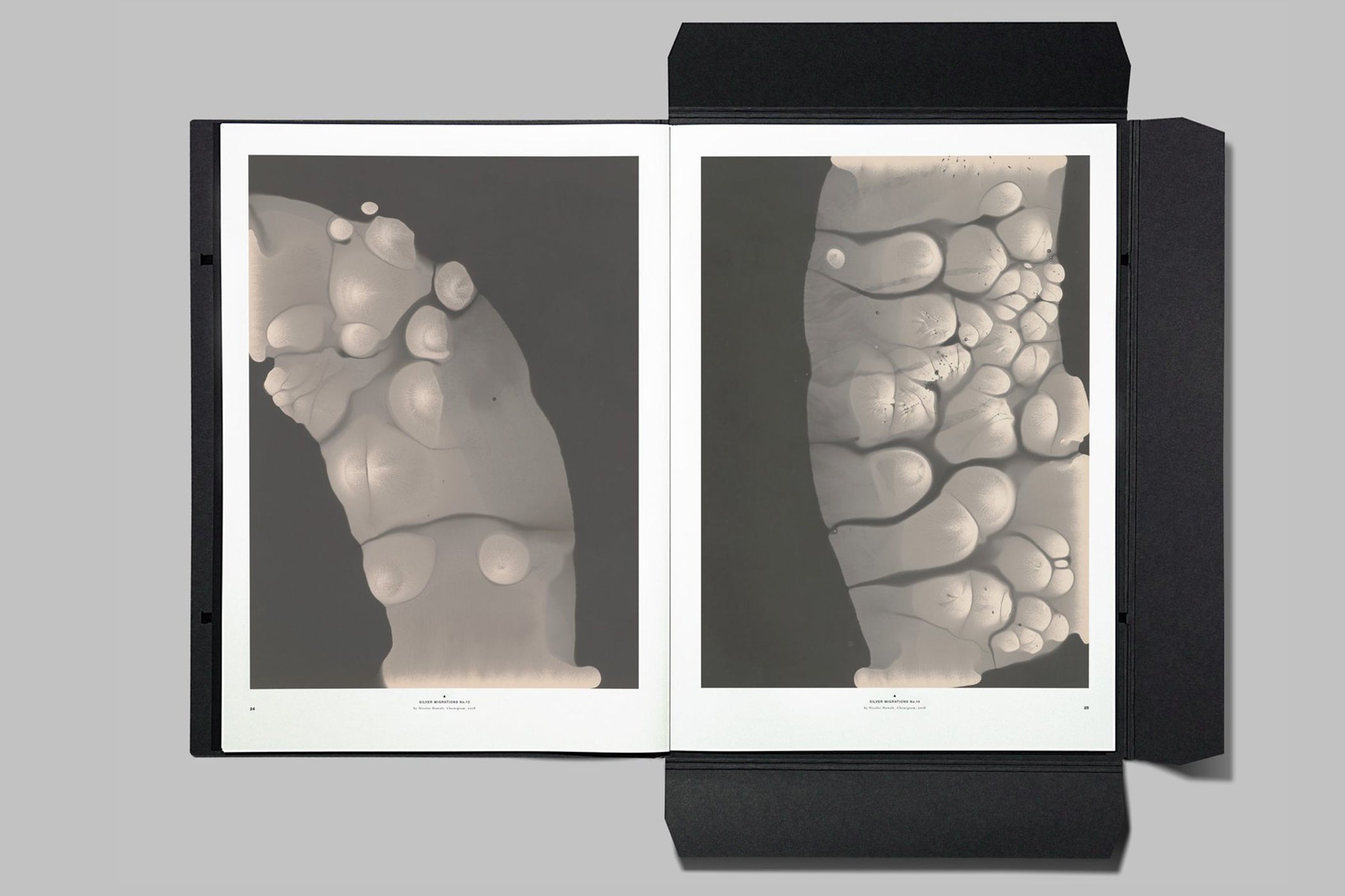 プレソラマガジンPLETHORA MAGAZINE No.8 PLETHORA MAGAZINE 