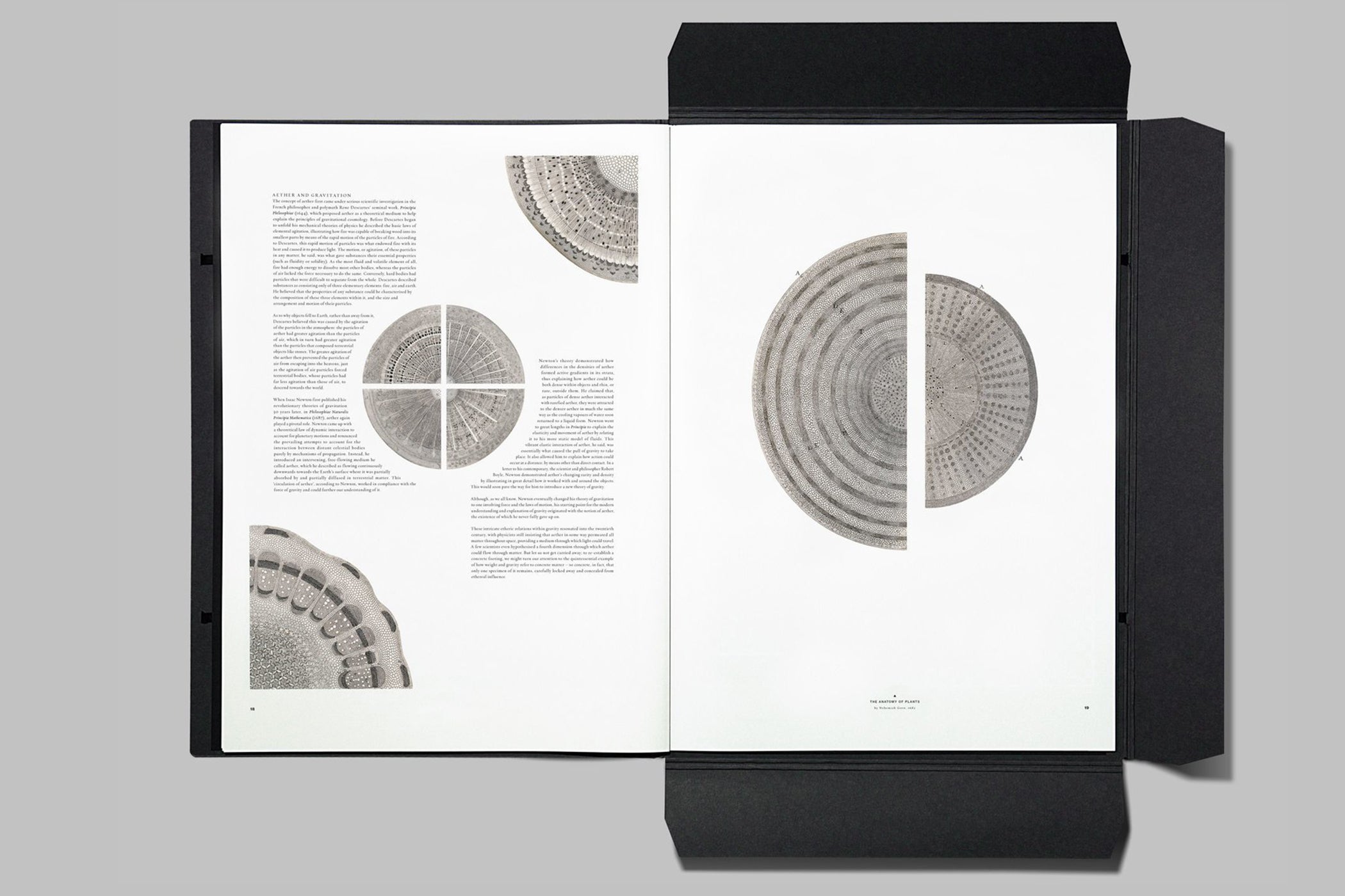 プレソラマガジンPLETHORA MAGAZINE No.8 PLETHORA MAGAZINE 