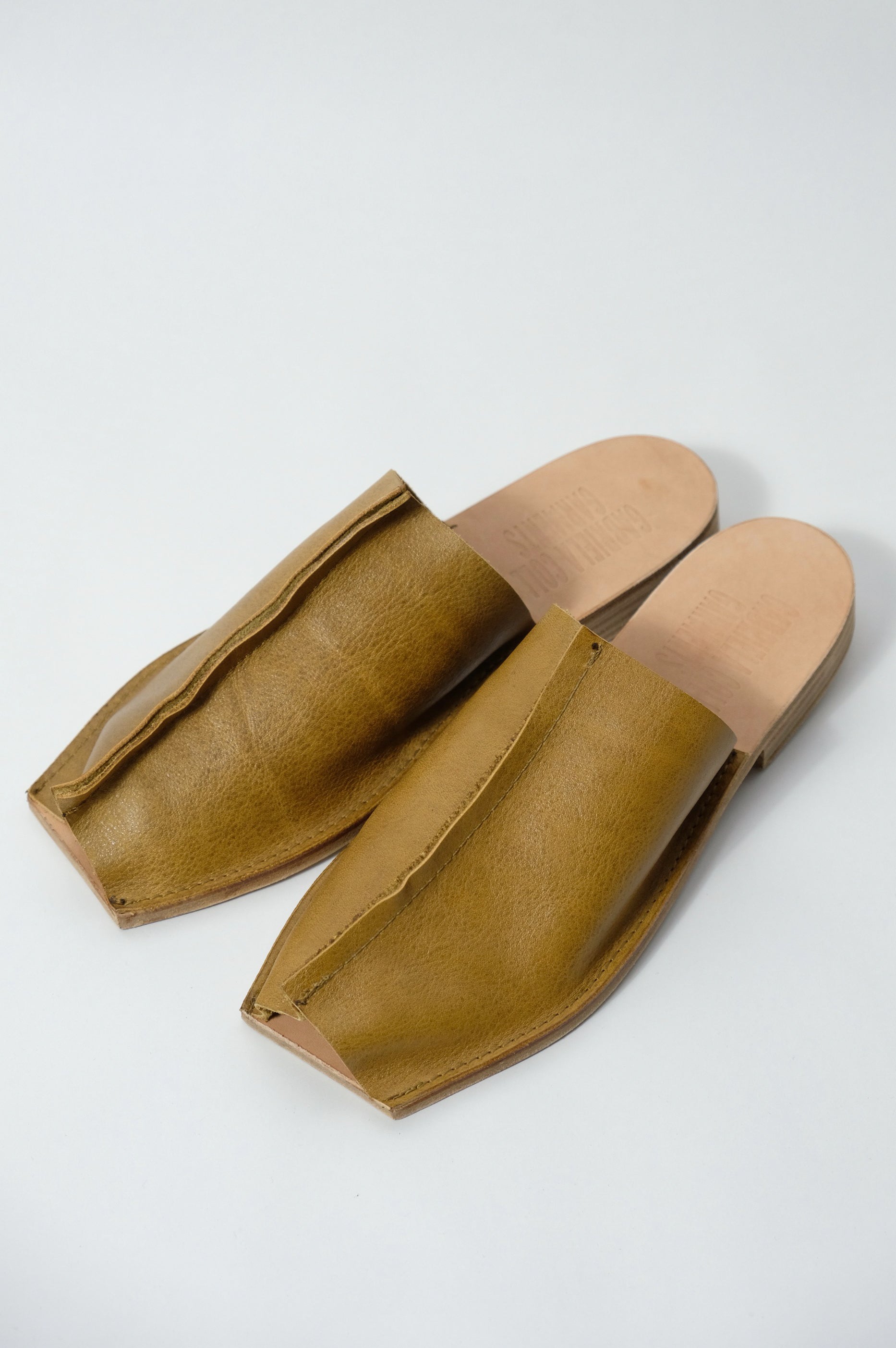 Gabriela Coll Garments 