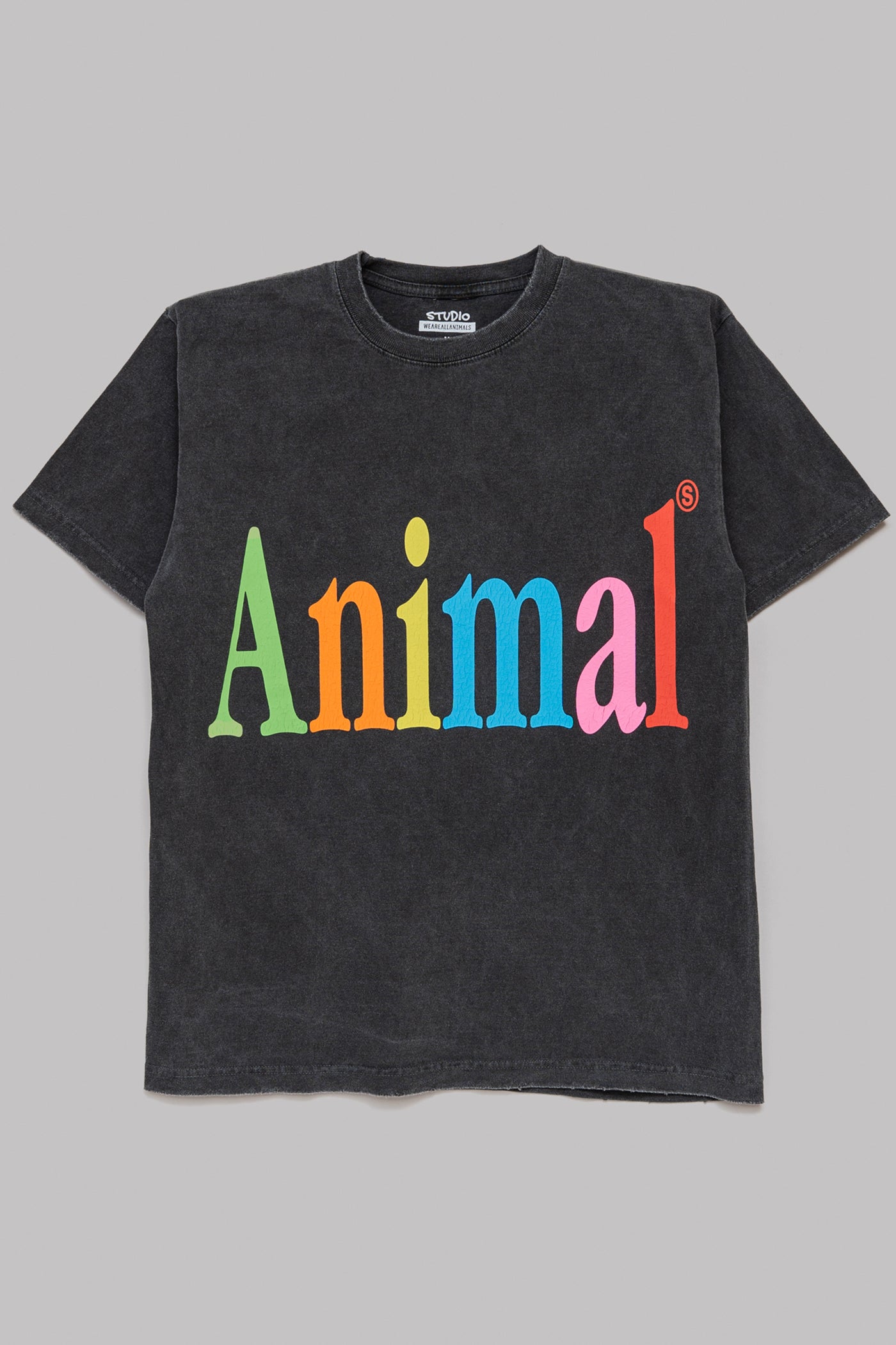 STUDIO WEAREALLANIMALS 